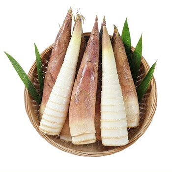 广西高山春笋新鲜现挖雷笋小竹笋雷笋中号单个47两9斤