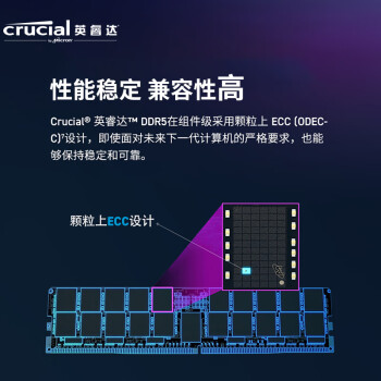 Crucial英睿达 32GB DDR5 4800频率 台式机内存条 美光（原镁光）原厂颗粒 AI电脑配件