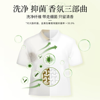 狮王（Lion）持久香氛抑菌洗衣液香槟玫瑰900g洁净持久留香易漂快洗进口无残留