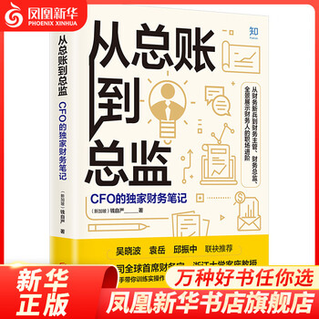 从总账到总监:CFO的财务笔记