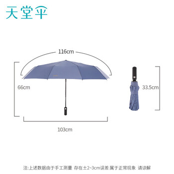 天堂伞 全自动雨伞三折 10骨加固一键开收易甩干简约商务自动伞 兰灰
