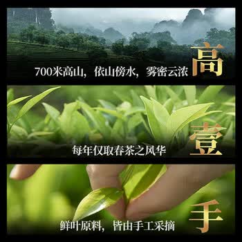 宋凰乌龙茶密韵小两凤凰单枞蜜兰香特级100g中火盒装企业单丛茶礼盒