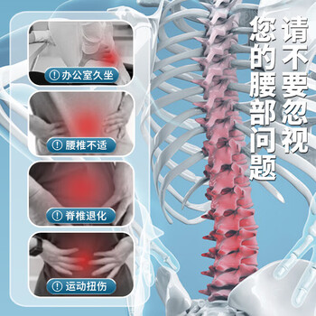 李宁护腰腰带运动健身男专用腰间盘突出腰肌劳损久坐跑步篮球硬拉束腰