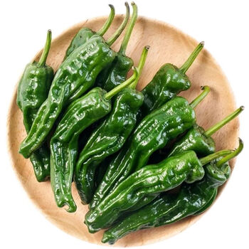 江苏徐州特辣小皱皮辣椒炒辣子鸡辣椒皱皮辣椒新鲜土辣椒现摘现发 买3