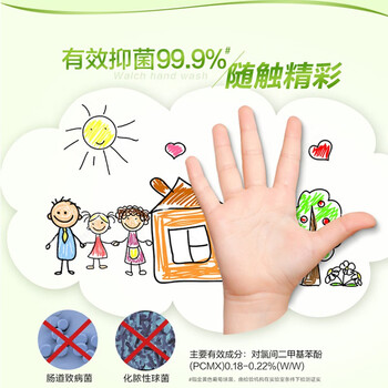 威露士泡沫洗手液青柠盈润225ml×2 杀菌99.9%家庭装泡沫丰富洗护手滋润