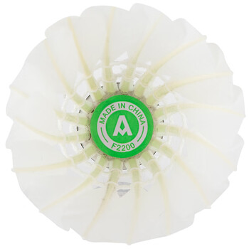 得力（deli）鹅毛娱乐羽毛球入门训练稳定匀速耐打训练不易烂天然毛羽球 3只装