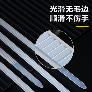 得力（deli）自锁式尼龙扎带阻燃理线带捆扎带 束线扎线绑带 白色100根/包