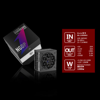 首席玩家（1st player）NGDP铂金 1300W ATX3.1电源（MES ID/压纹线/ATX3.0&3.1双规范/FDB风扇/支持5090/双12V2X6）