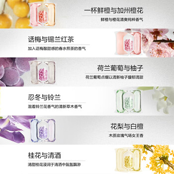 绽家香氛洗衣凝珠 忍冬12g*10颗 3腔 抑菌浓缩洗衣液持久留香试用装 绽家香氛洗衣凝珠 忍冬12g*10颗 3腔 抑菌浓缩洗衣液持久留香试用装