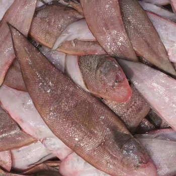 新鲜速冻龙利鱼海鲜舌头鱼舌鳎鱼鳎米鱼鳎目鱼野牛舌头踏板鱼 2斤装