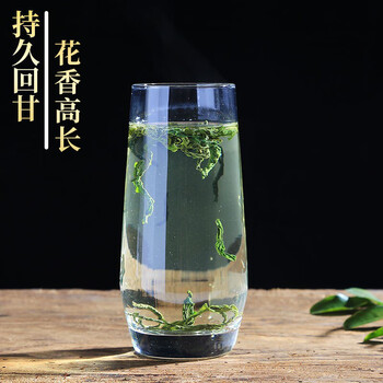 徽六茶叶绿茶六安瓜片潜香5000罐装150g