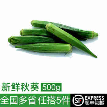 绿食者 新鲜秋葵500g 水果秋葵 六角羊角豆 新鲜当季农家蔬菜
