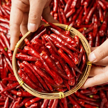 干辣椒微辣中辣特辣朝天椒小米椒魔鬼辣椒面辣椒段红辣椒干货 250克