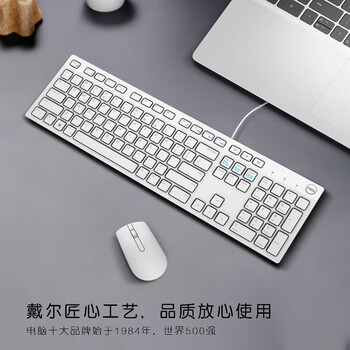 戴尔(DELL)KB216 有线键盘 办公键盘 全尺寸键盘 USB接口 白色 戴尔(DELL)KB216 有线键盘 办公键盘 全尺寸键盘 USB接口 白色