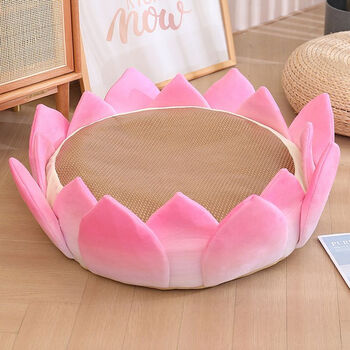 杰森顿创意莲花坐垫懒人沙发玩偶好运连连毛绒玩具女友蒲团坐垫屁垫