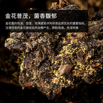 泾渭茯茶贡福尊品280g黑茶叶陕西茯砖茶金花茯茶免撬茯茶陕西特产礼盒装