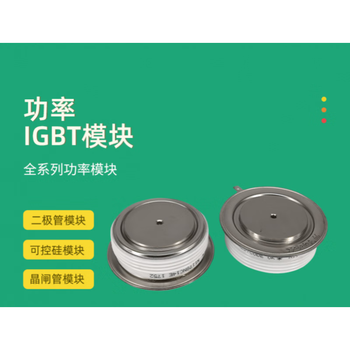 澜世 平板可控硅晶闸管 T430N12TOF 澜世 平板可控硅晶闸管 T430N12TOF