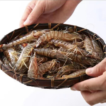 皓谦基围虾鲜活九节虾花虾海鲜水产新鲜速冻活虾500g25只左右斤