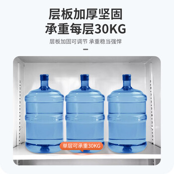 炎恩文件柜铁皮柜档案办公资料柜子钢制储物柜员工柜大器械文件柜