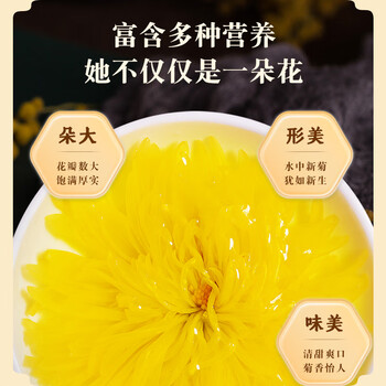 同仁堂（TRT）北京同仁堂金丝皇菊特级60大朵菊花茶胎菊泡水喝养生茶茶叶30g