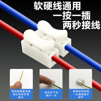 铸固 按压式接线端子 快速电线连接器弹簧对接小电流通用接线器 100只 CH-2 （二进二出 钢片）