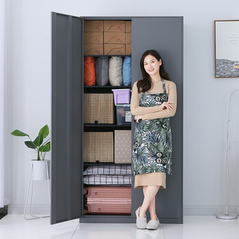 洛克菲勒铁皮衣柜阳台柜杂物柜储物柜带锁内部五层皮纹高2000宽1000深500