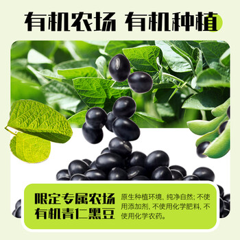 北大荒有机黑豆纯豆浆粉200g（20g*10）高蛋白低gi高纤维营养早餐冲饮