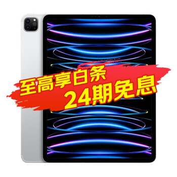 苹果新iPad Pro 11英寸256GB价格报价行情- 京东