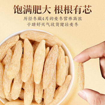 同仁堂元气四宝茶黄芪麦冬党参西洋参中药材滋补养生送礼品120g