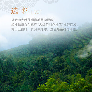 大益茶叶 普洱茶熟茶 砖茶 2020年金砖礼盒1000g 年货礼盒