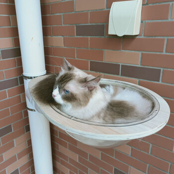 水管改造猫爬架自制diy材料包阳台pvc排水管配件猫跳台猫树猫窝 110