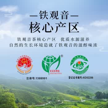 江萃乌龙茶安溪铁观音特级288g礼盒装茶叶礼盒装长辈客户送礼礼品物