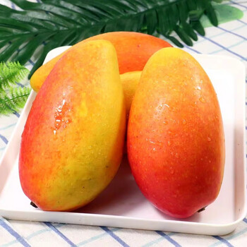 芒果 8斤装 海南贵妃芒 小贵妃芒果 新鲜水果 海南金煌芒 生鲜 小贵妃