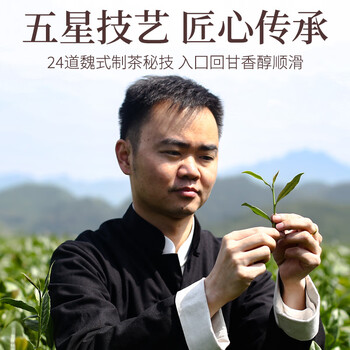 传奇会乌龙茶 安溪铁观音 浓香型特级500g中火礼盒装茶叶自己喝送礼礼品