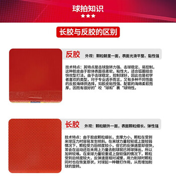 红双喜（DHS）红双喜 乒乓球拍III型-S直拍对拍训练娱乐两拍一球套装+乒乓球