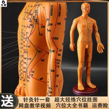 人体模具新款- 人体模具2021年新款- 京东