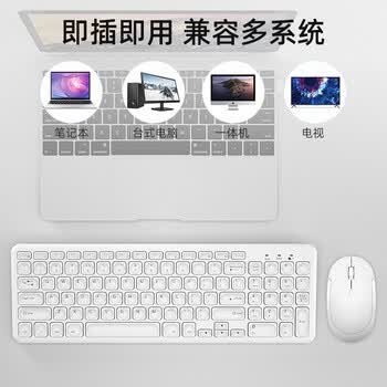 B.O.W航世 HW256 无线键盘鼠标套装 办公键鼠套装96键 超薄便携 防泼溅 电脑键盘 笔记本键盘 白色 B.O.W航世 HW256 无线键盘鼠标套装 办公键鼠套装96键 超薄便携 防泼溅 电脑键盘 笔记本键盘 白色