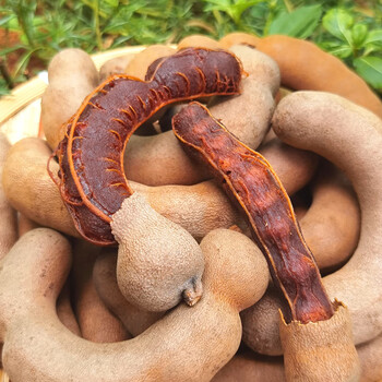 哺食旺西双版纳酸角酸甜角云南特产500g袋新鲜休闲零食果脯果散装带壳