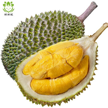 马来西亚进口d197猫山王榴莲液氮冷冻新鲜水果带壳五角星榴莲猫山王整