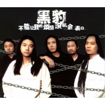 黑豹cd - 京东