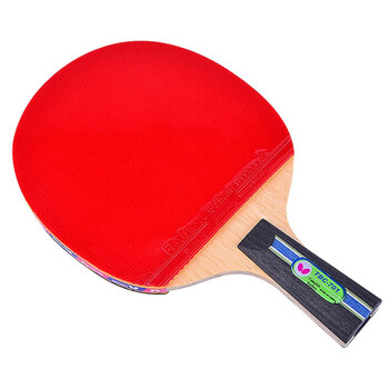 蝴蝶7星乒乓球拍直拍双面反胶碳素底板专业比赛拍子701内含拍套