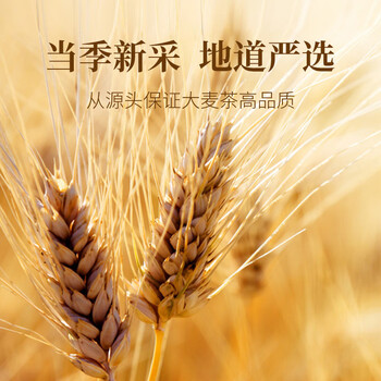 朕皇北京同仁堂大麦茶特级正品精选大粒烘焙浓香搭回奶宝断奶退奶250g