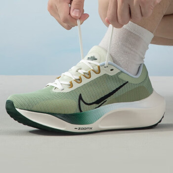 耐克（NIKE）男鞋2024冬季新款ZOOM FLY 6碳板马拉松运动鞋缓震跑步鞋HJ7038 FV3632-301 ZOOM FLY 5	 41