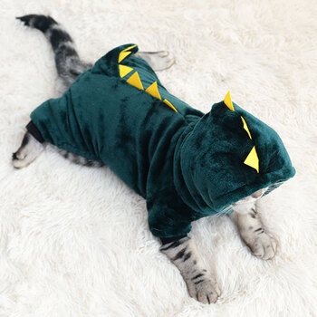 幼猫衣服保暖猫咪衣服秋装幼猫四脚保暖秋冬可爱小狗狗猫猫防掉毛冬装