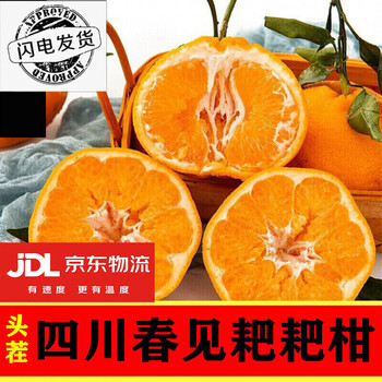 春见粑粑柑什么时候熟(春见粑粑柑口感描述)
