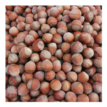 年新鲜手剥去皮湿的东北大榛子薄皮水瓤价出售孕妇零食2021年晒干生大