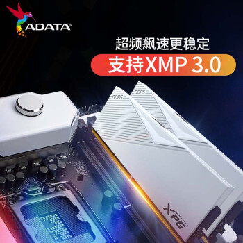 威刚 (ADATA) 龙耀 64GB(32G×2) DDR5 6000 CL30 海力士A die颗粒 电竞RGB内存条 XPG D500G 釉白