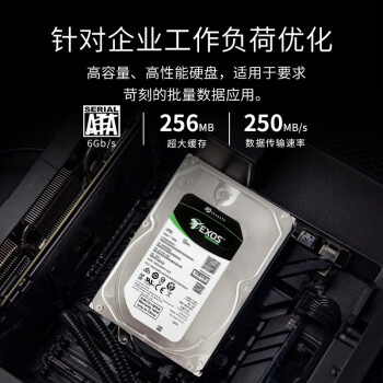 希捷（SEAGATE）企业级硬盘 6TB 256MB 7200RPM CMR垂直 SATA 希捷银河Exos 7E10系列 服务器硬盘ST6000NM019B