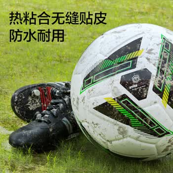 京东京造 足球成人青少年进阶训练专业标准5号球