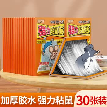 金大侠粘鼠板30片 老鼠贴强粘力家用老鼠一窝端神器加大加厚灭鼠粘板